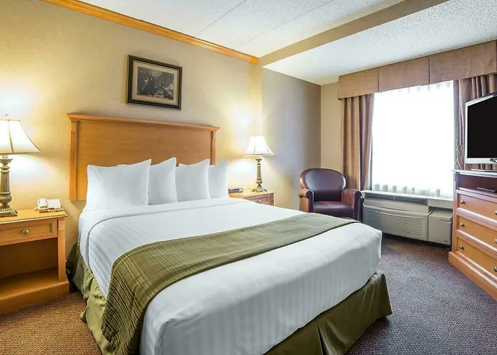 Quality & Near Event Center Hotel 5*